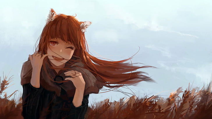 The role of female characters in anime  does it create or maintain  inequality  Spice and wolf holo Spice and wolf Anime wolf