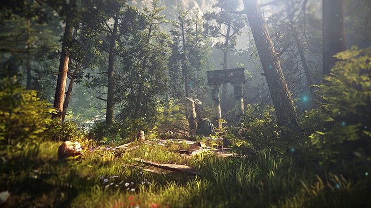 green forest, The Witcher 2 Assassins of Kings, nature, video games