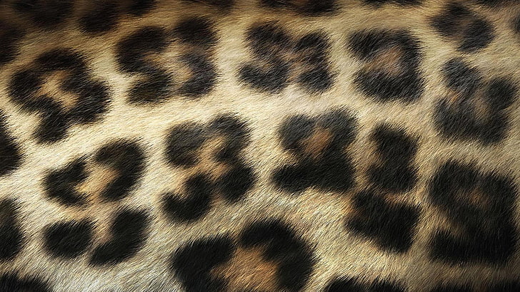 black and brown leopard textile, background, hair, stains, texture