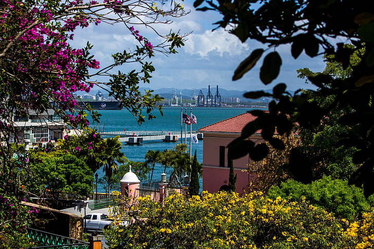 san juan puerto rico, plant, water, tree, nature, nautical vessel, HD wallpaper