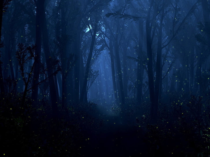 dark forest, light, trees, night, fireflies, lights, nature, mystery