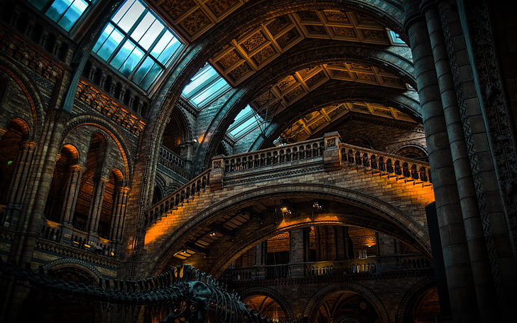 natural light, history, museum, London, building, architecture, HD wallpaper