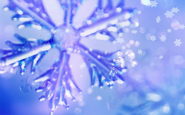 HD wallpaper: purple snowflake