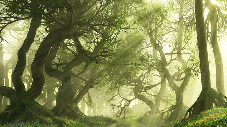 Sun shining in the forest, green leaf tree with sun rays, digital art, HD wallpaper