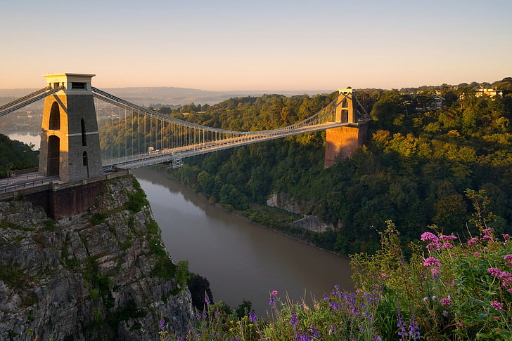 flowers, bridge, river, England, panorama, Bristol, the river Avon