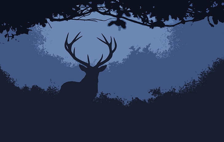 Male deer 1080P, 2K, 4K, 5K HD wallpapers free download | Wallpaper Flare