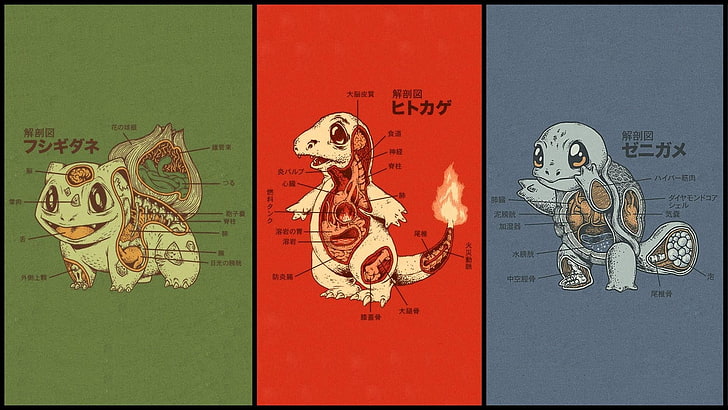 Pokemon parts illustration, Bulbasaur, Charmander, and Squirtle Pokemon anatomy wallpaper
