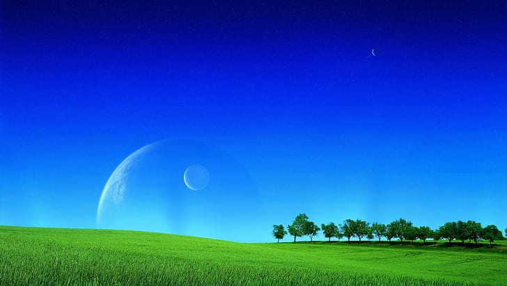field, grass, moonlight, sky, planet, HD wallpaper