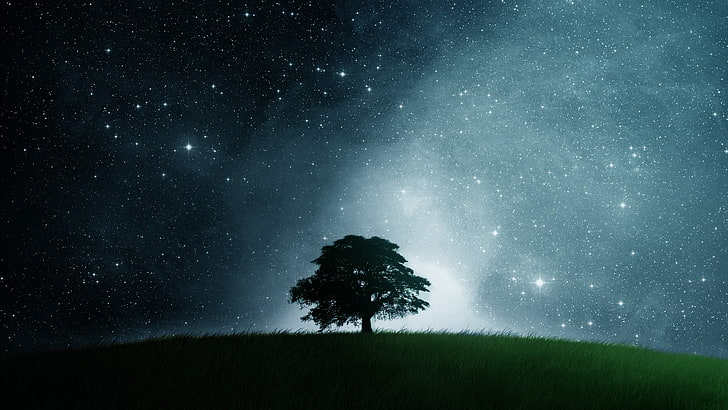 Hd Wallpaper Awesome Cool Lonely Tree Nature Other Hd Art Dark Field Epic Wallpaper Flare