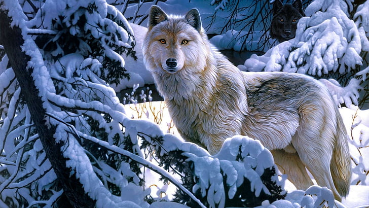 wildlife, wolf, white wolf, painting, fantasy art, snow, alaskan tundra wolf, HD wallpaper