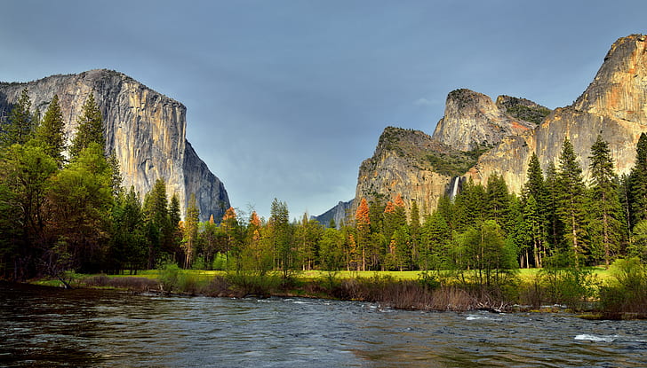 photo of a green tree with body of water, merced river, yosemite national park, merced river, yosemite national park