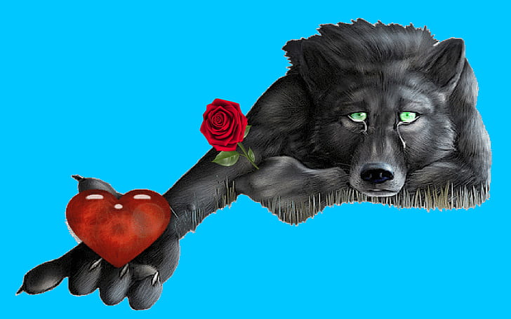 Wolf Heart red rose messages on lonely hearts HD Wallpapers for mobile phones tablet and laptop 3840×2400, HD wallpaper
