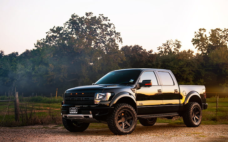 black Ford crew cab pickup truck, car, Ford f-150, vehicle, trees