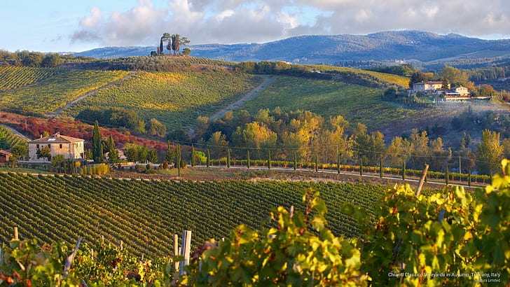 Chianti Classico Vineyards in Autumn, Tuscany, Italy, Europe, HD wallpaper