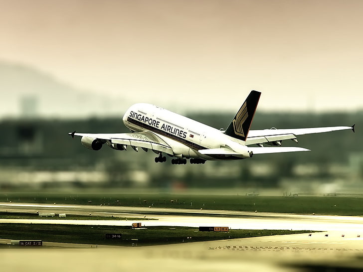 Singapore Airlines airplane, shallow focus of white and black airplane, HD wallpaper