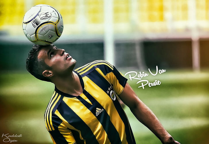 Robin van Persie, Fenerbahçe, footballers, soccer, HD wallpaper