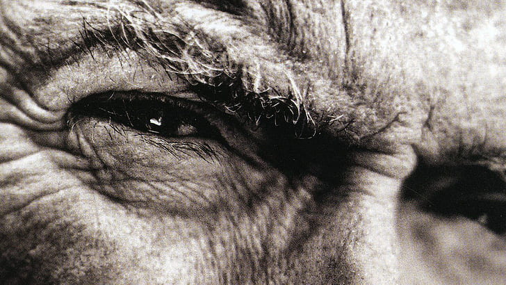 Actors, Clint Eastwood, HD wallpaper