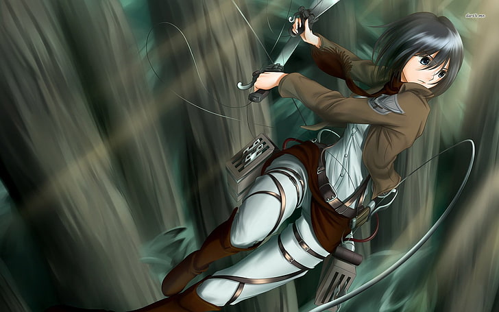 Attack on Titan Mikasa Ackerman wallpaper, Shingeki no Kyojin, HD wallpaper