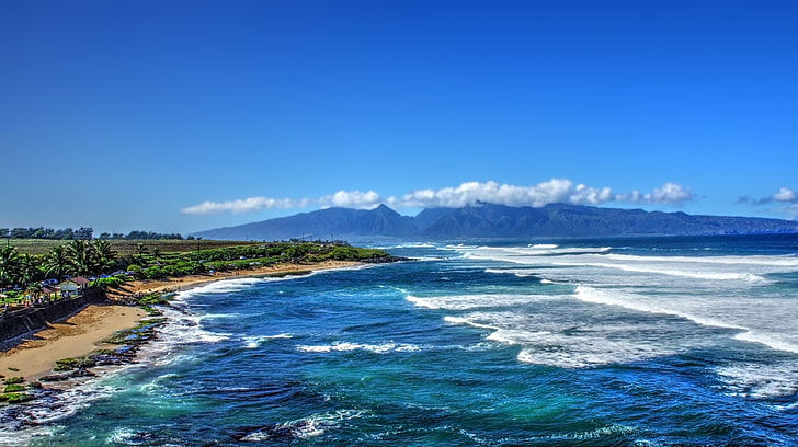 blue sea, tropical water, tropical forest, Hawaii, isle of Maui, HD wallpaper