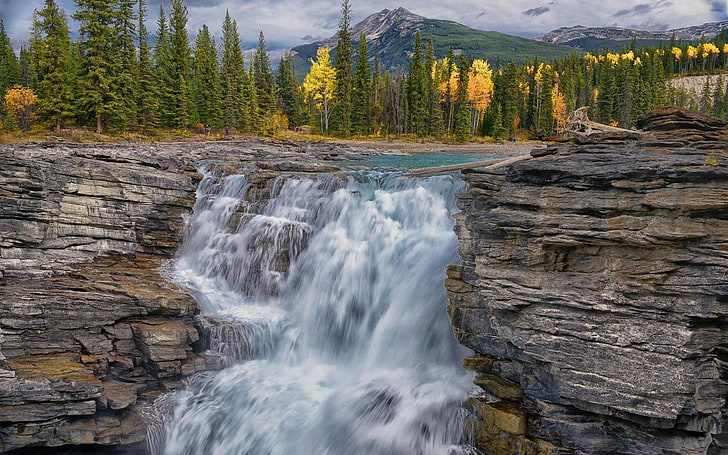 Athabasca Falls In Jasper National Park On The Upper Athabasca River, About 30 Kilometers South Of The Townsite Of Jasper, Alberta, Canada, And Just West Of The Icefields Parkway, HD wallpaper