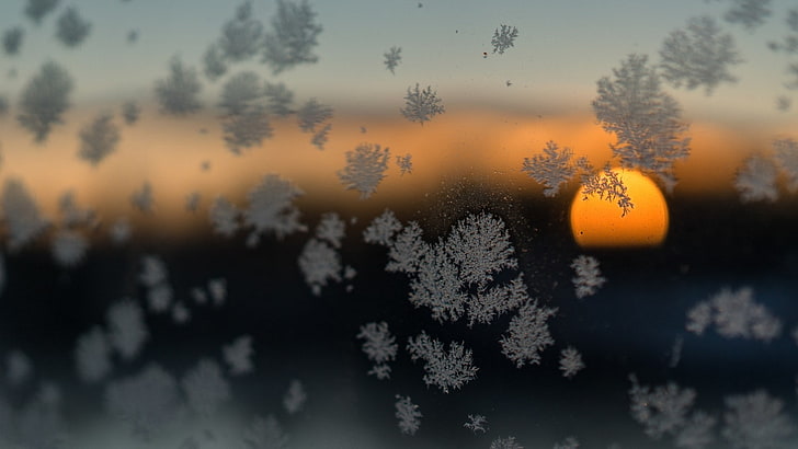 nature, Sun, sunset, glass, winter, snow flakes, depth of field