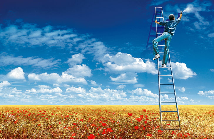 ladders, landscape, flowers, field, men, sky, clouds, blue, HD wallpaper