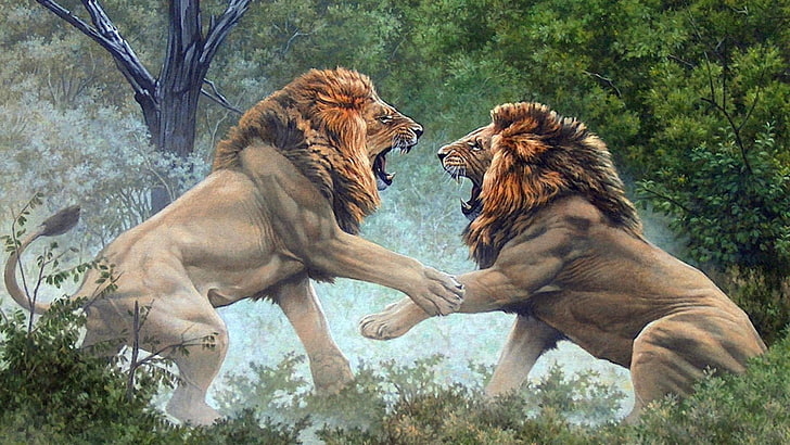 Fight with a lion 1080P, 2K, 4K, 5K HD wallpapers free download | Wallpaper  Flare