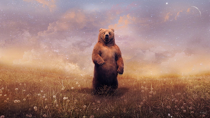 brown bear standing on ground surrounded by flower, bears, landscape