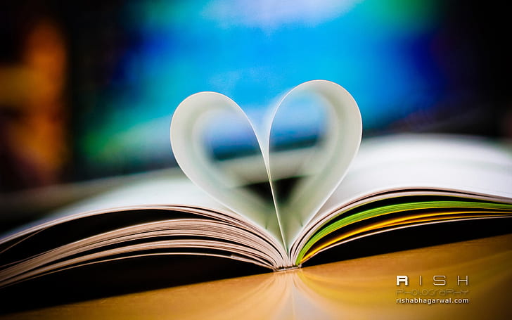 Love Book, HD wallpaper