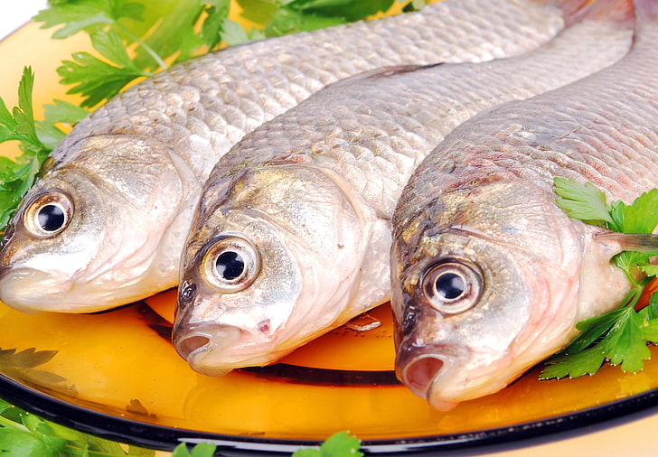 three grey fish, carp, plate, parsley, herbs, food, freshness, HD wallpaper