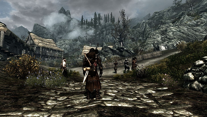 Assassin Creed game surface, The Elder Scrolls V: Skyrim, video games, HD wallpaper