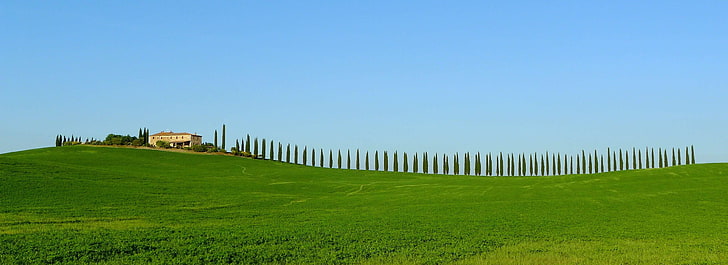 agriturismo, covili, cypresses, famous, farmhouse, field, green, HD wallpaper