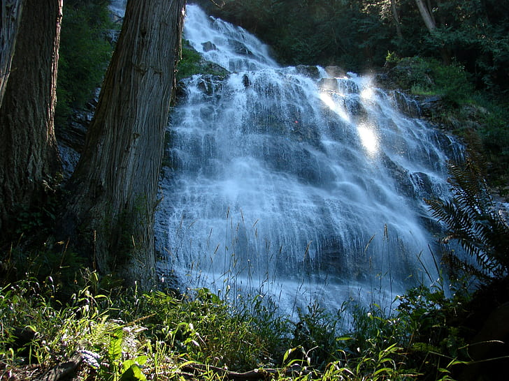 waterfall, nature, landscape, trees, forest, sunlight, plants