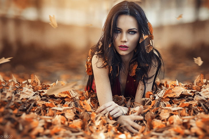 women's red dress, close-up photo of woman in red plunging neckline top on brown leaf flowers, HD wallpaper
