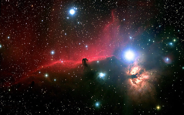 Horsehead Nebula, space, stars, night, star - space, astronomy, HD wallpaper