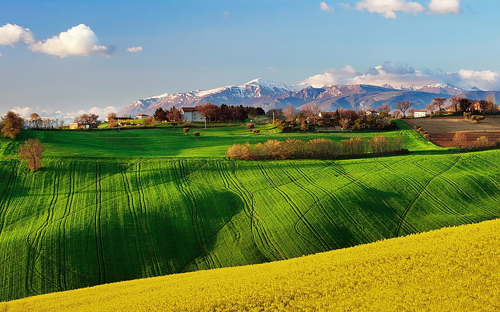 Italy nature scenery, fields, spring, rapeseed, sky