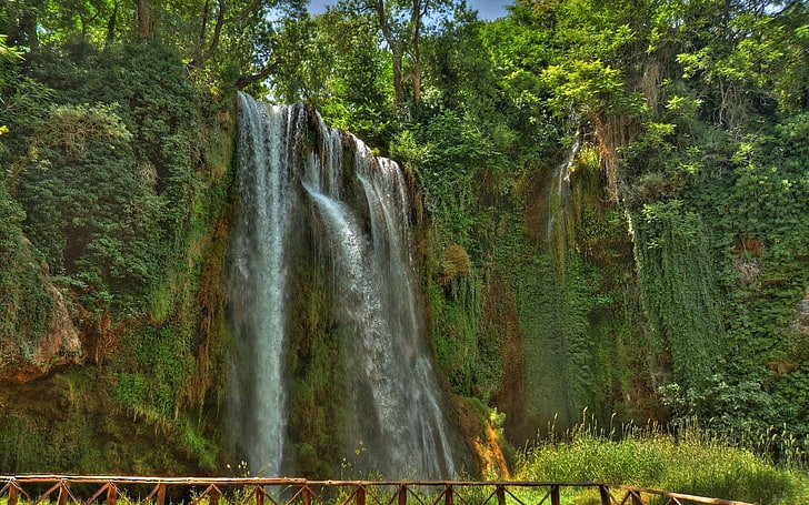 waterfalls surrounded by trees, landscape, nature, lianas, plant