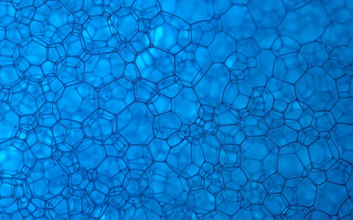 blue molecules illustration, background, pattern, line, shape, HD wallpaper