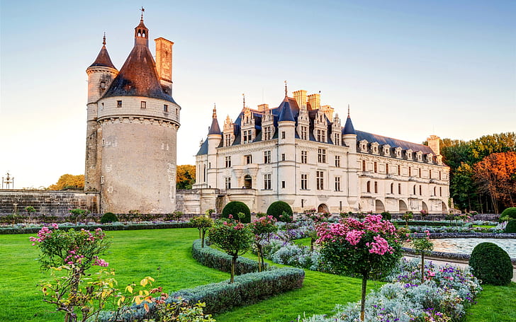 France, Chenonceau chateau, castle, lawn, bushes, garden