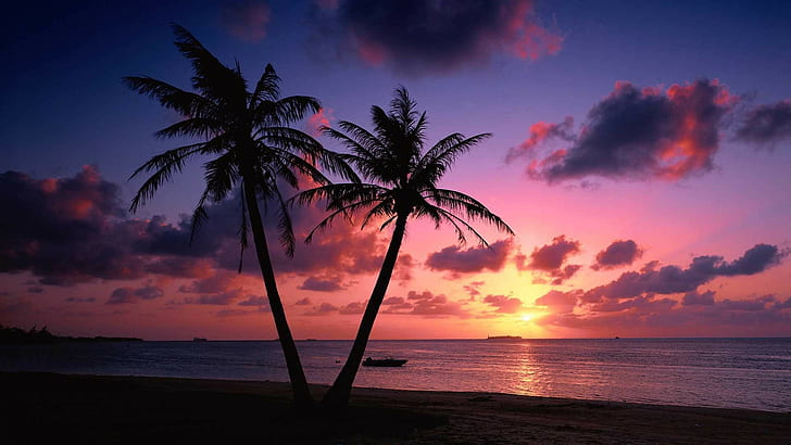 landscape, silhouette, clouds, sea, palm trees, HD wallpaper