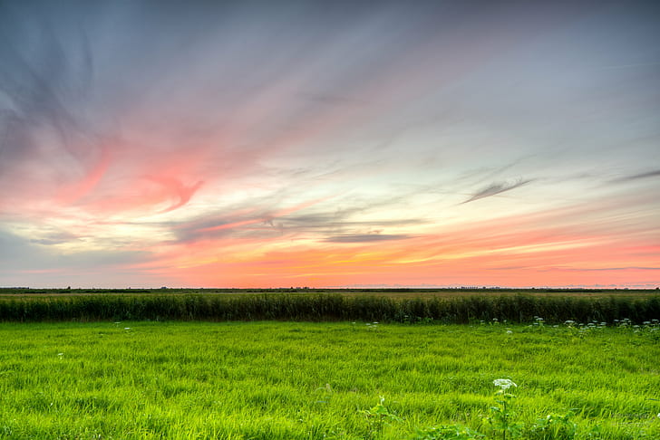 panoramic photography of green fields during sunset, meadows, HD wallpaper