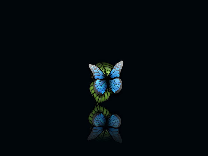 HD wallpaper: black, blue, butterfly, leaf, tagme | Wallpaper Flare