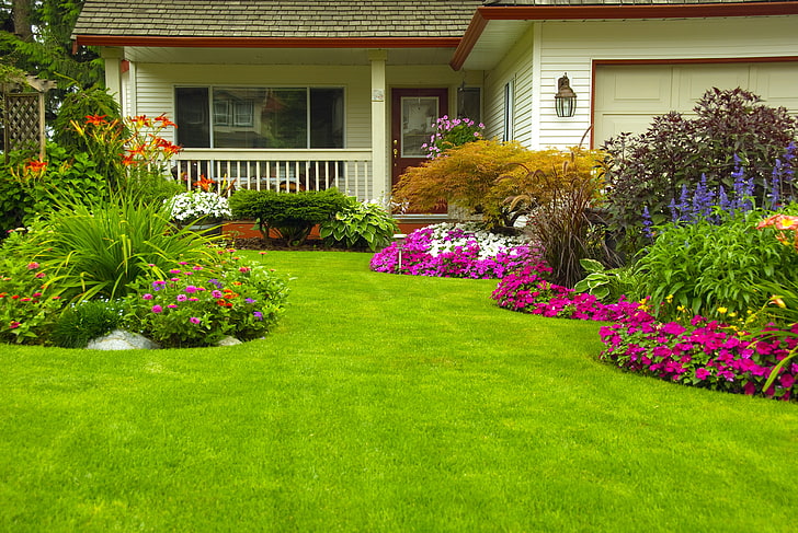 green lawn, greens, grass, flowers, house, garden, the bushes HD wallpaper