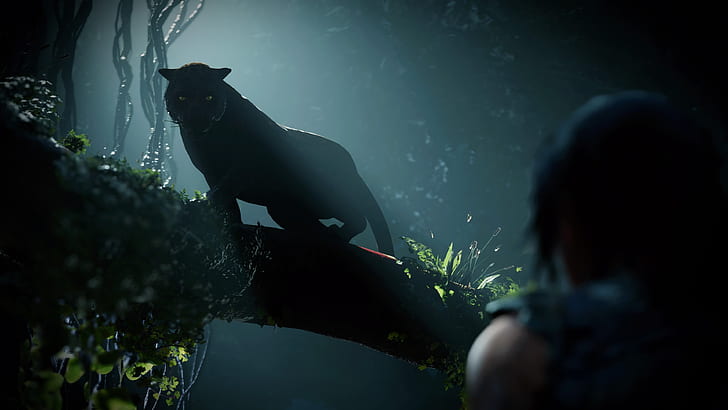 Tomb Raider, jungle, Lara Croft, video games, screen shot, HD wallpaper