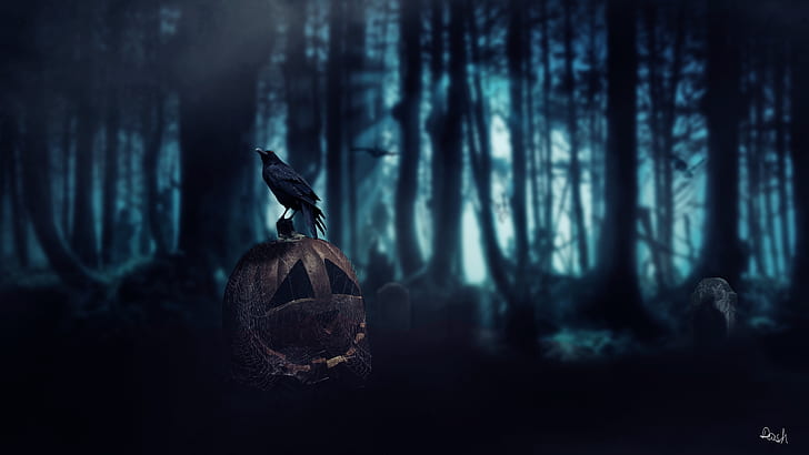 forest, Dark Age, crow, Halloween, death, pumpkin, HD wallpaper