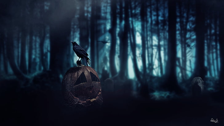 black bird, Halloween, pumpkin, Dark Age, crow, forest, death