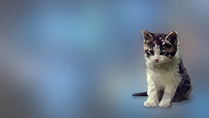 geometric white and black kitten illustration, white and black cat illustration, HD wallpaper