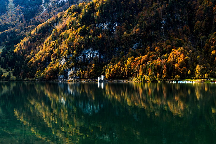 orange leafed tree, water, forest, mountains, reflection, nature, HD wallpaper