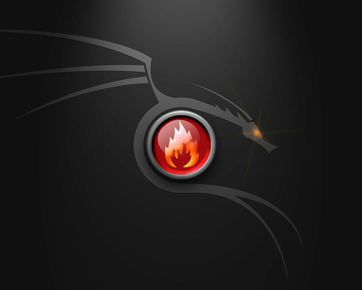 gray Dragon with red flame illustration, desktop, graphic  art