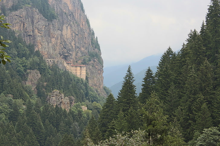 pine trees, Trabzon, Turkey, nature, green, Sumela, Panagia Sumela, HD wallpaper